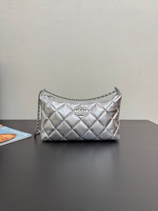 C*2025 New Silver Bag