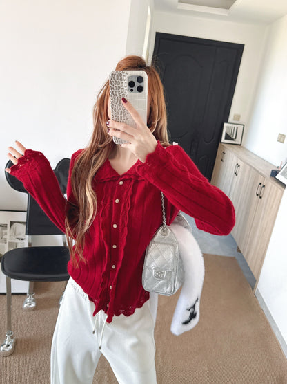 Chan NEW Wool sweater