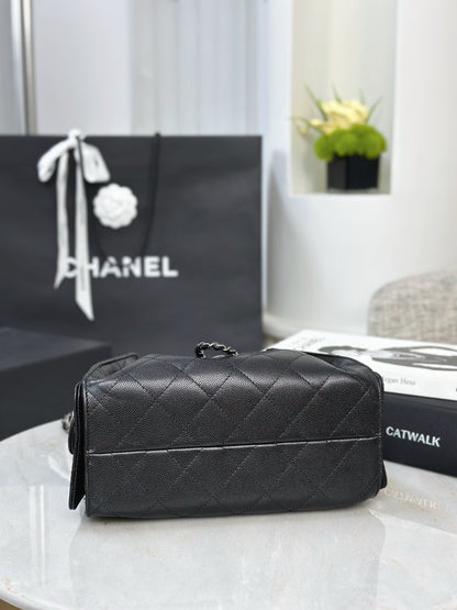 Chan NEW 25S hobo bag