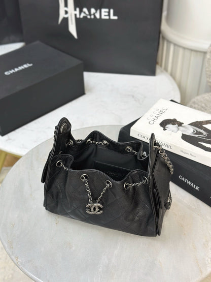 Chan NEW 25S hobo bag