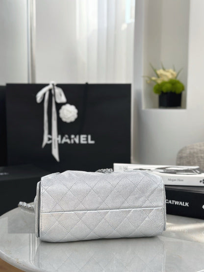 Chan NEW 26C hobo bag