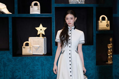 CD NEW bee embroidery vintage dress