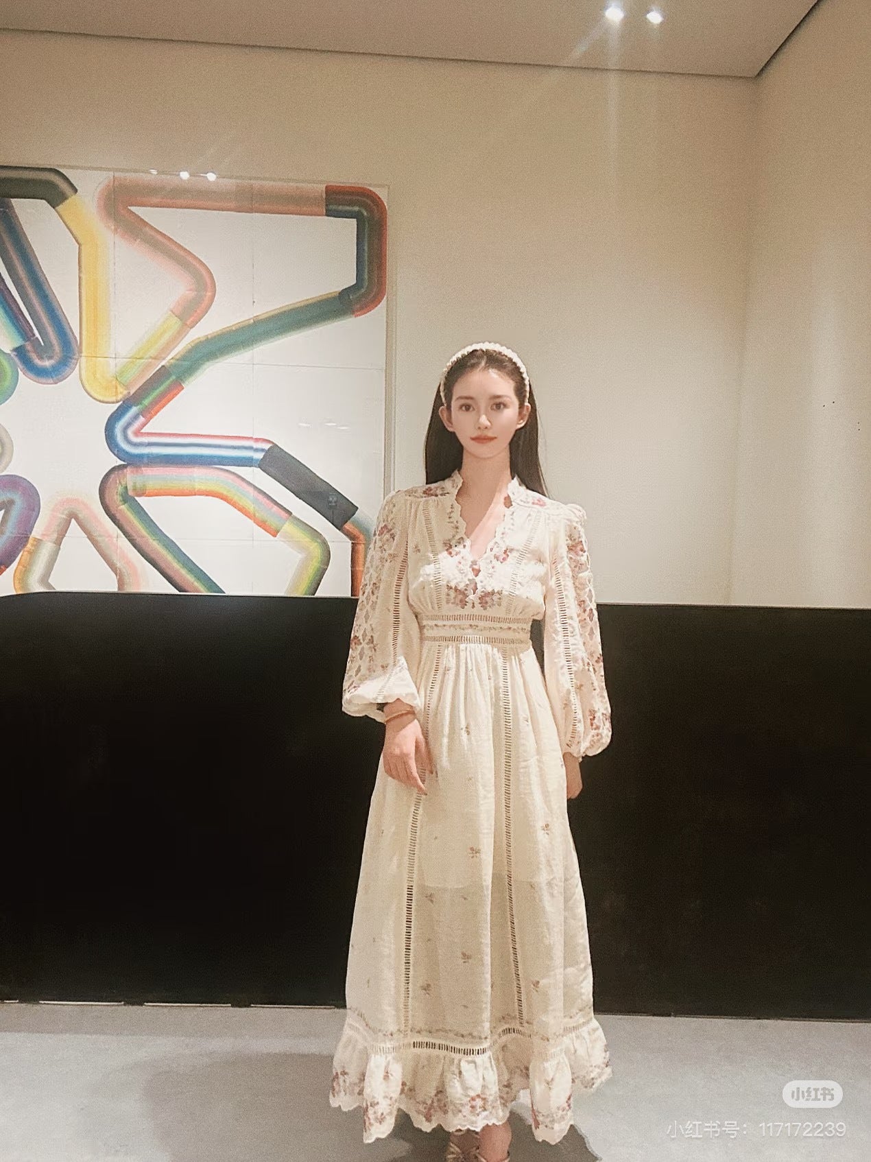 Zimm NEW print dress